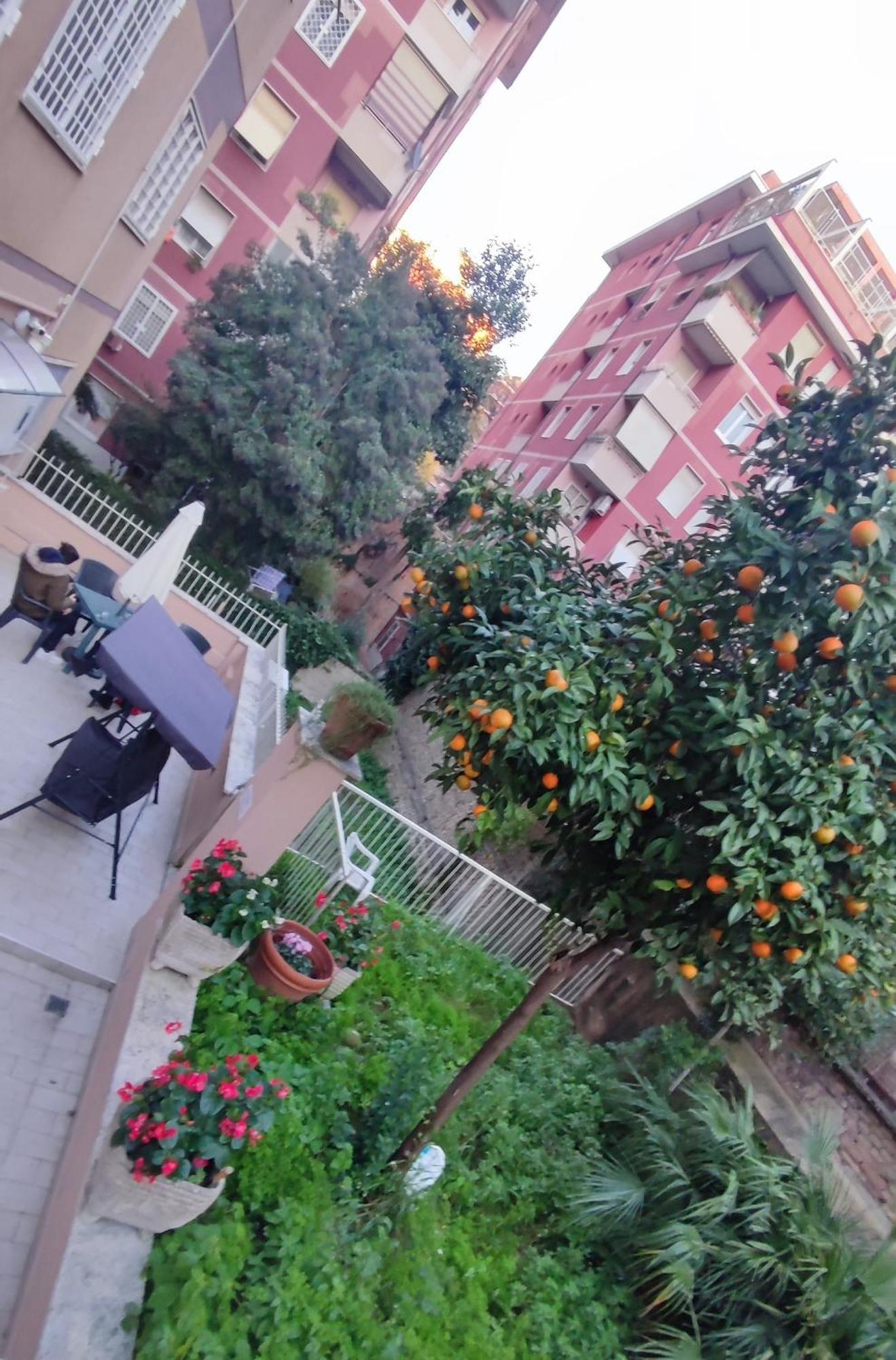 Vatican Green Garden Roma Exterior foto